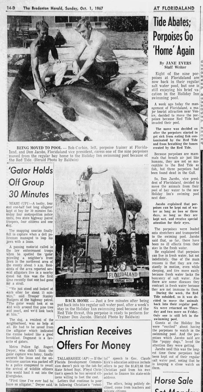Floridaland - Oct 1 1967 Article